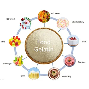 Food Grade Edible Gelatin Powder Wholesale 120-300 Bloom Gelatin